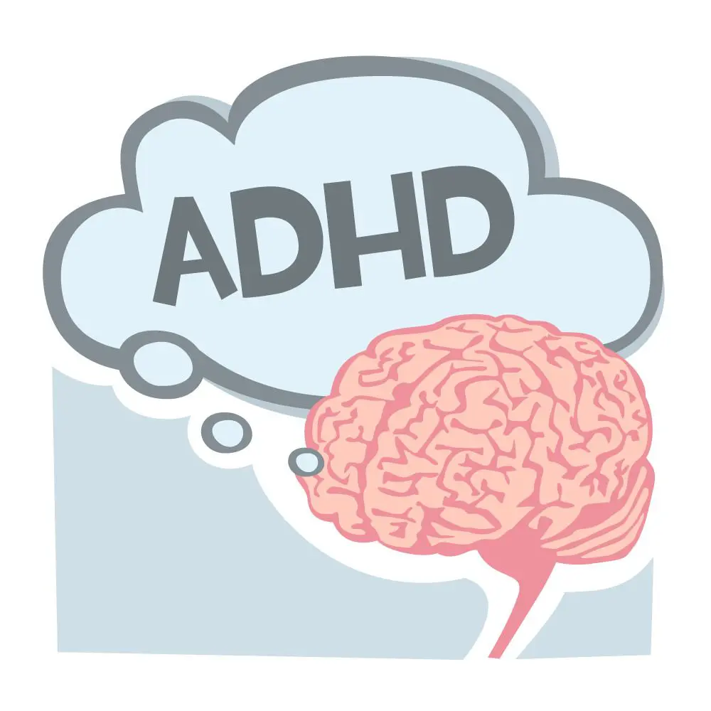 An illustration of a brain with a thought bubble containing the text "ADHD."