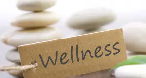 A sign with the word "Wellness" is in front of stacked stones, invoking a sense of stress relief and calm.