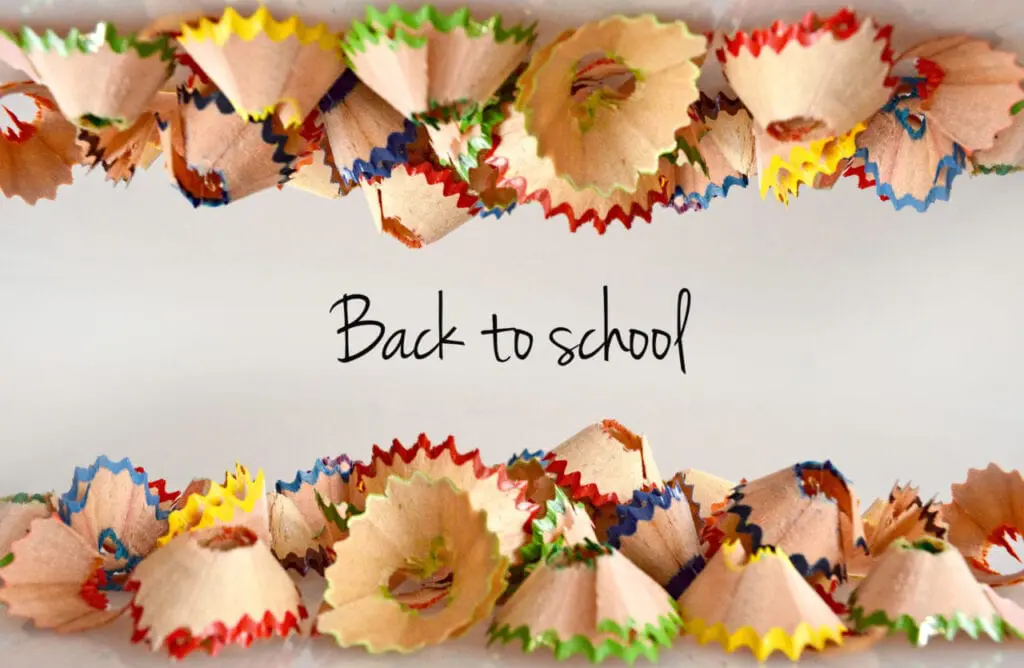 Colorful pencil shavings surround the words "Back to school" on a light background.