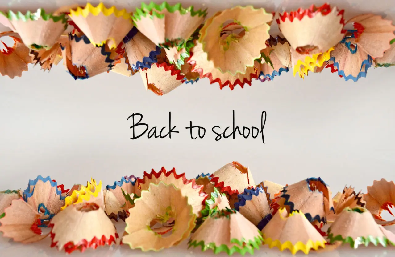 Colorful pencil shavings surround the words "Back to school" on a light background.
