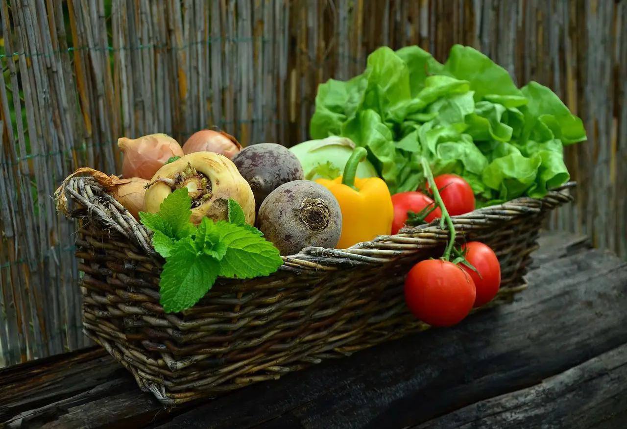 A basket filled with vegetables like lettuce, tomatoes, peppers, beets, and onions, along with fresh mint.