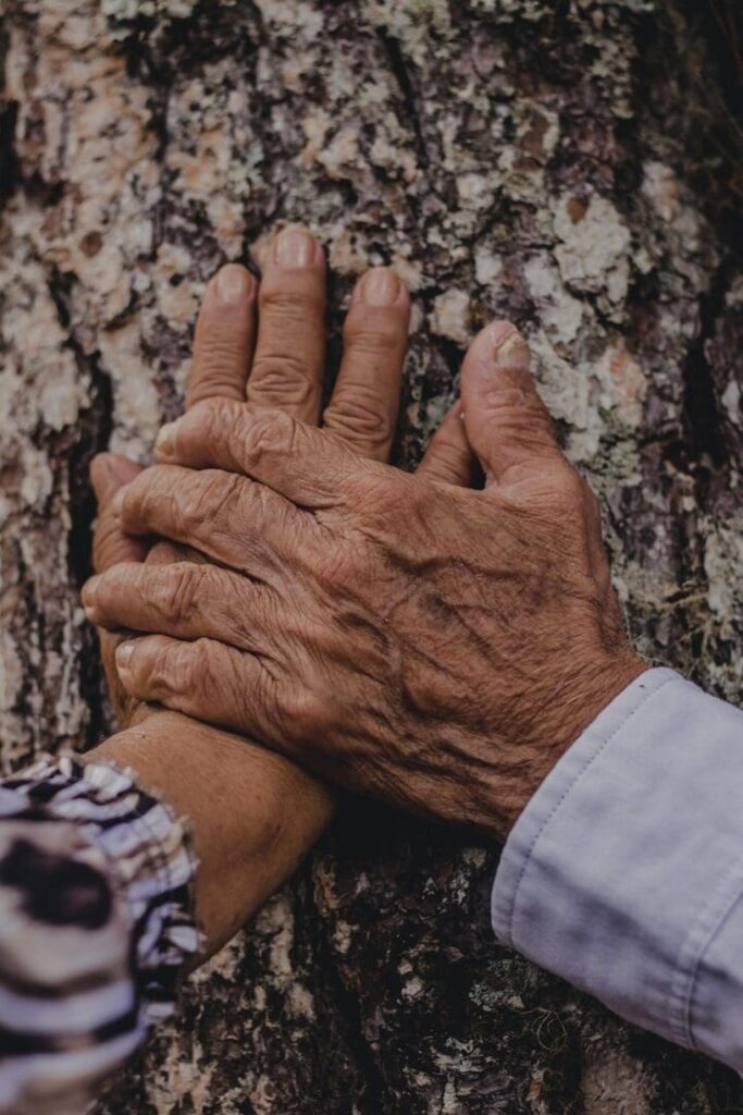 Two hands, one on top of the other, resting against tree bark.