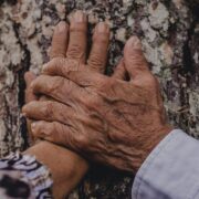 Two hands, one on top of the other, resting against tree bark.